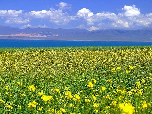 旖旎风光 大美青海
