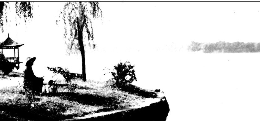 在彼此陌生的纬度里“相逢”