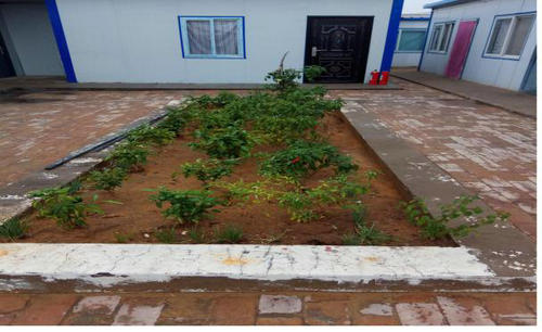 洗选煤运营公司倾心打造“舒适套餐”