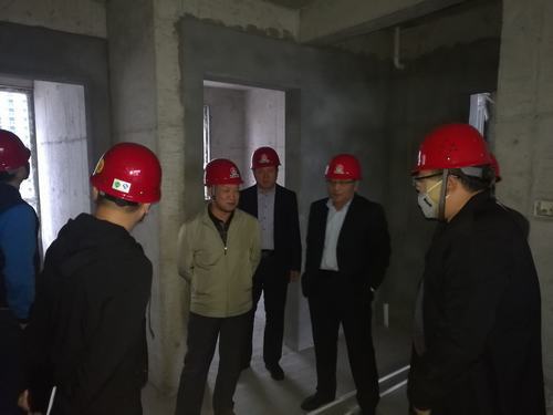 emc网页版登录集团、建设集团领导莅临渭南分公司检查指导工作