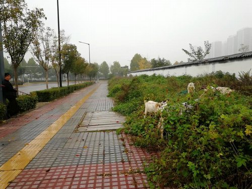 工地上的那抹风景