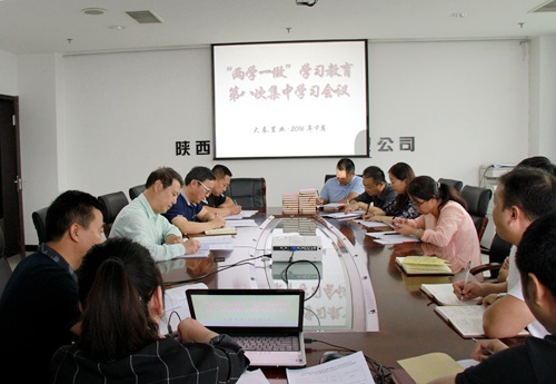 大秦置业公司 :“三个三”引领“两学一做”学习教育常态化制度化 蓄力“双特百亿”勇争先