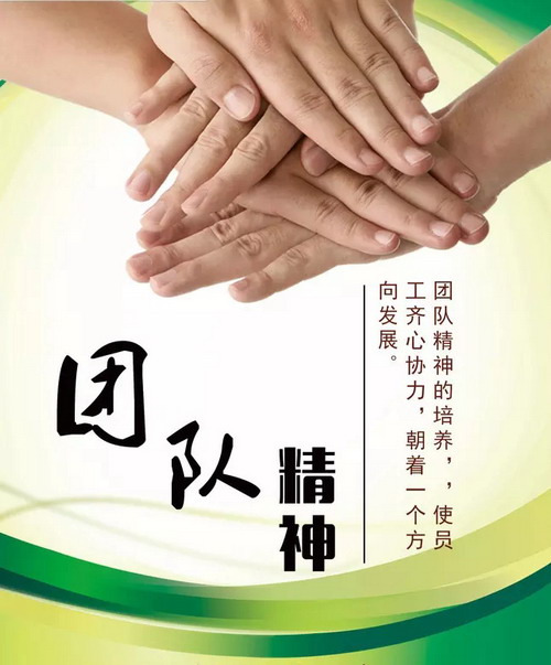 企业需要团队精神