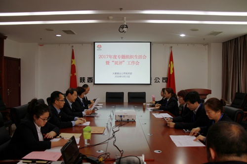 大秦置业公司:紧严并举开好党支部2017年度专题组织生活会暨双评工作会