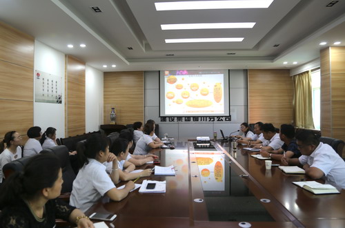 emc网页版登录建设铜川公司：开展财务知识培训 着力提高工作效率