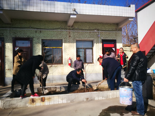 emc网页版登录建设天工公司各项目部积极开展植树活动 绿化施工环境