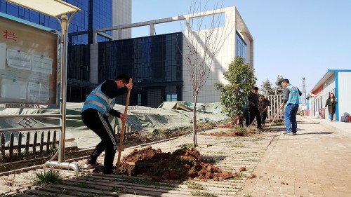 emc网页版登录建设澄合分公司基层单位开展“植树护绿,美丽家园”义务植树活动