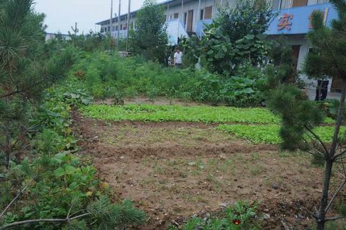 emc网页版登录建设掘进公司:北翼项目部“绿色农场”开张啦