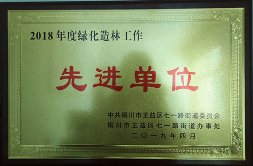 emc网页版登录建设机电安装公司：喜获铜川市七一地区“绿化造林”先进单位