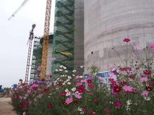 emc网页版登录建设环保行动“不拒小”