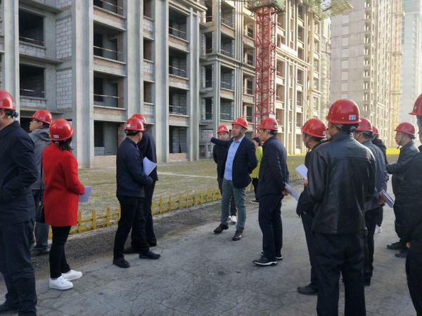 靖边县人大常委会副主任米靖平一行莅临emc网页版登录建设铜煤公司金地华府项目检查指导工作