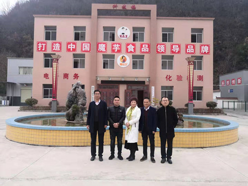 emc网页版登录建设川耀公司赴镇安考察