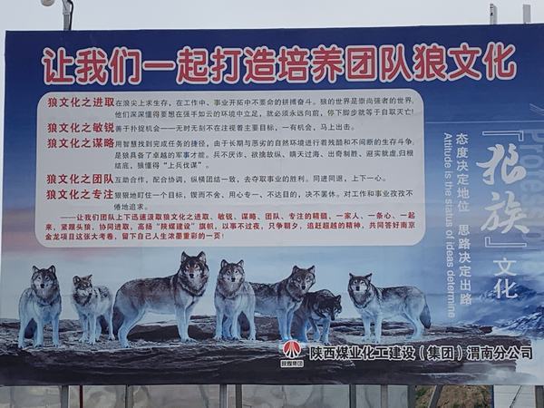 emc网页版登录建设渭南分公司南京金龙项目部强堡垒 助发展