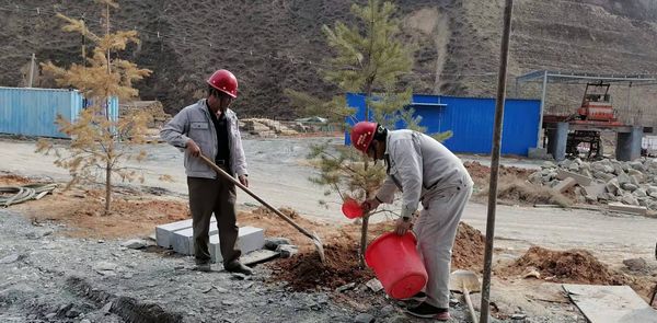 emc网页版登录建设天工公司安装三部开展“绿色施工、美化家园”义务植树活动