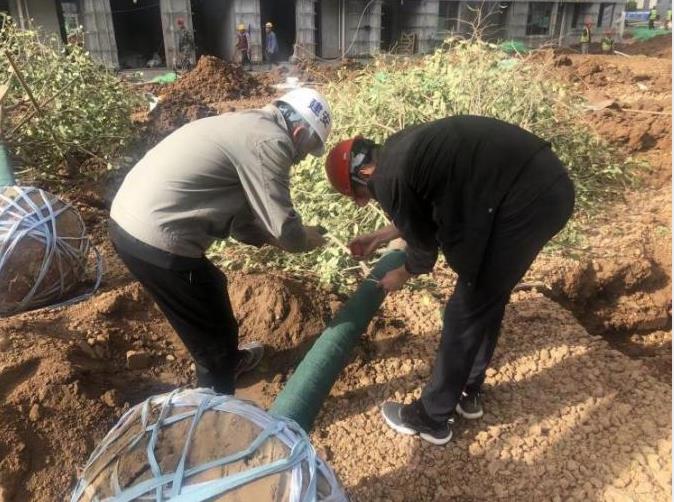 emc网页版登录建设绿宇公司：蓝山水岸项目“大干快上” 施工热潮正当时