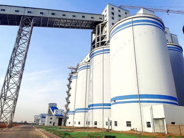 emc网页版登录建设澄合分公司文明花开别样红