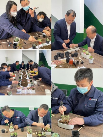 emc网页版登录建设新城公司开展“青年绿种子，我的环保心”五四青年节主题活动