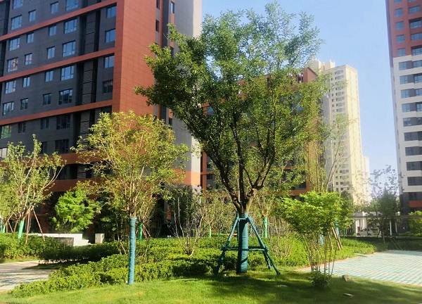 emc网页版登录建设绿宇公司：蓝山水岸项目收尾显担当  大干快干展新颜