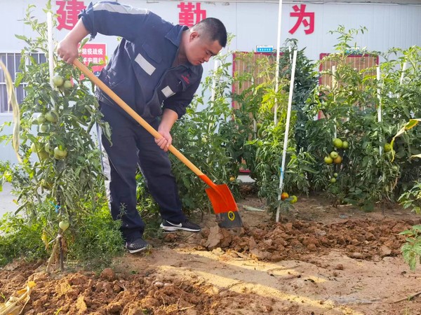 emc网页版登录建设洗选煤运营公司第七项目部：开垦“试验田” 扎根大荒漠