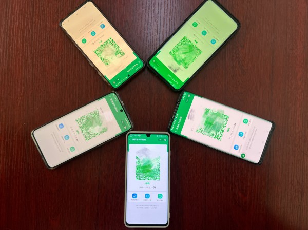 emc网页版登录建设机电安装公司：全力以赴守“绿马”