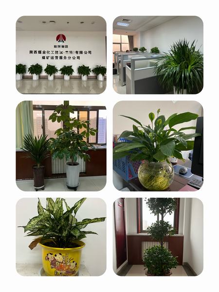 emc网页版登录建设煤矿运营服务公司：职工之事无小事