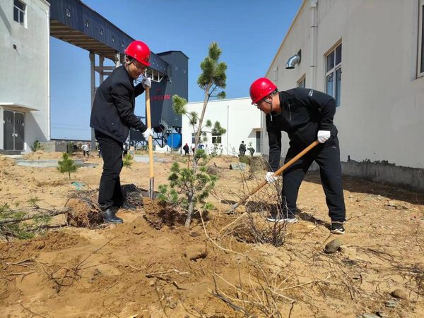 emc网页版登录建设路桥分公司榆阳煤炭物流园区项目部春风化雨植树忙