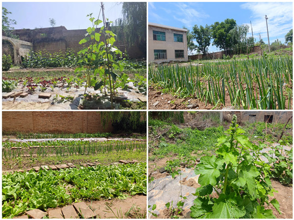 emc网页版登录建设矿建三公司：项目部里的“开心农场”