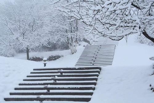 冬雪有感