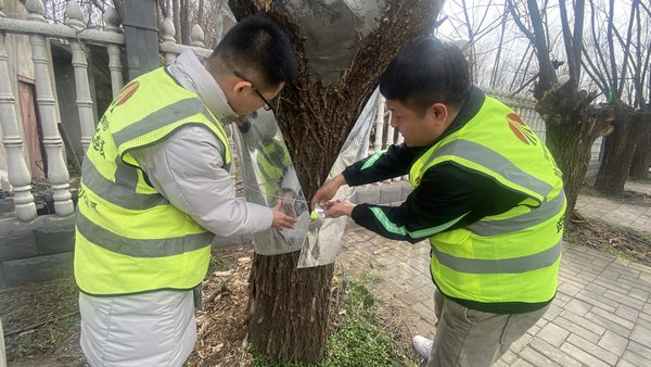 emc网页版登录建设路桥分公司渭南项目部开展“绿色修复，生态共赢”别样植树节活动