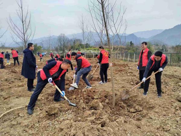 emc网页版登录建设驻村工作队参加春季义务植树活动