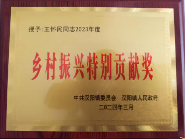emc网页版登录建设驻村工作队获得汉阴县汉阳镇“乡村振兴特别贡献奖”