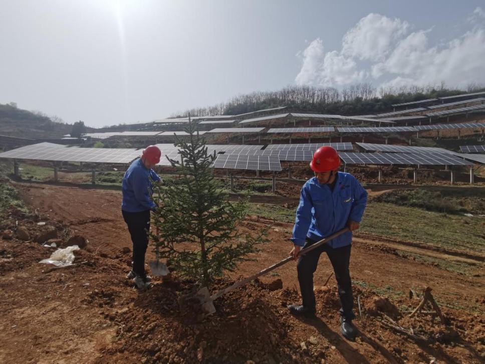 emc网页版登录建设西北分公司机电安装项目部： 全员参与，共筑绿色屏障