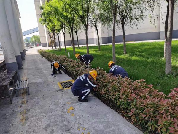 emc网页版登录建设洗选煤运营公司神渭蒲城运营项目部：逐”绿”而行 向”绿”而兴！厂区绿化在行动