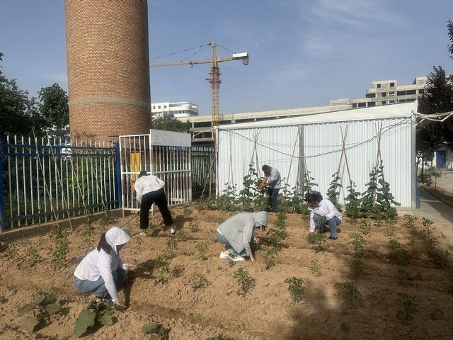emc网页版登录建设韩城分公司土建六项目部：打造美丽的“花园”角落
