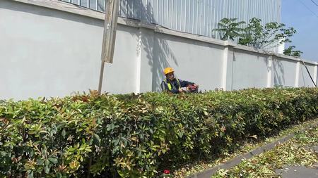 emc网页版登录建设洗选煤运营公司神渭蒲城运营项目部：开展“清理环境卫生，我先行”主题活动