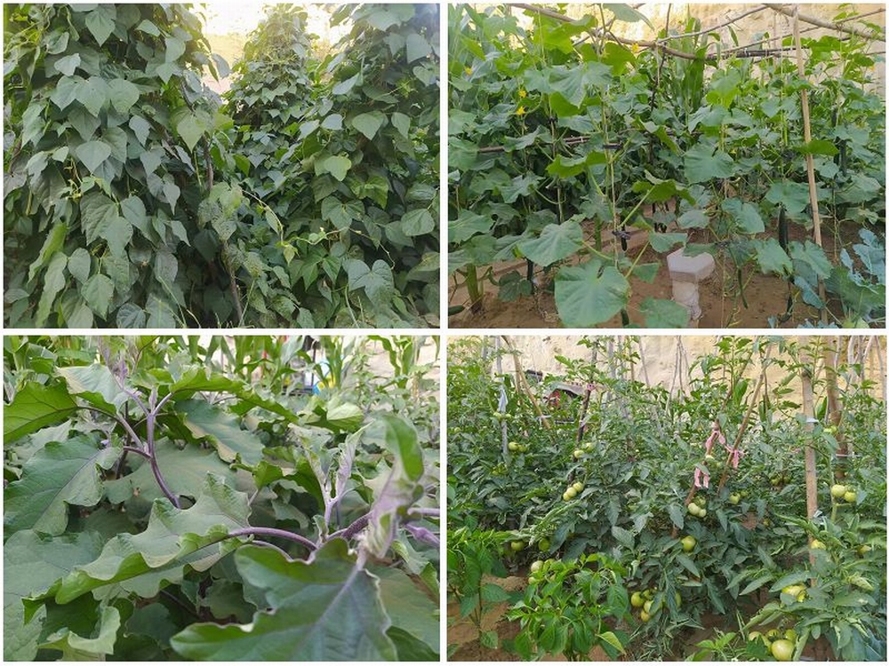 emc网页版登录建设天工公司土建四部：双手开辟幸福田   汗水浇灌暖心园