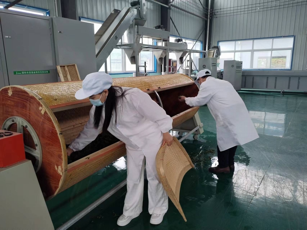 emc网页版登录建设定点帮扶村：“天池大碗茶”促进产业发展正循环