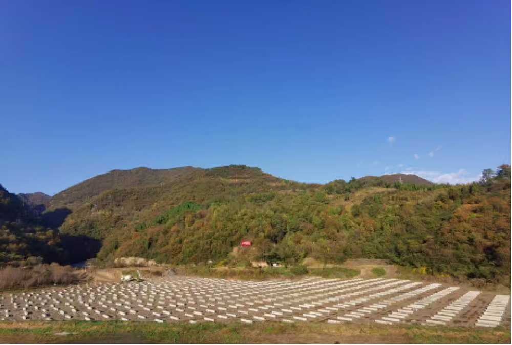 抓安全 保质量 抢进度 汉中分公司全力推进重点项目建设