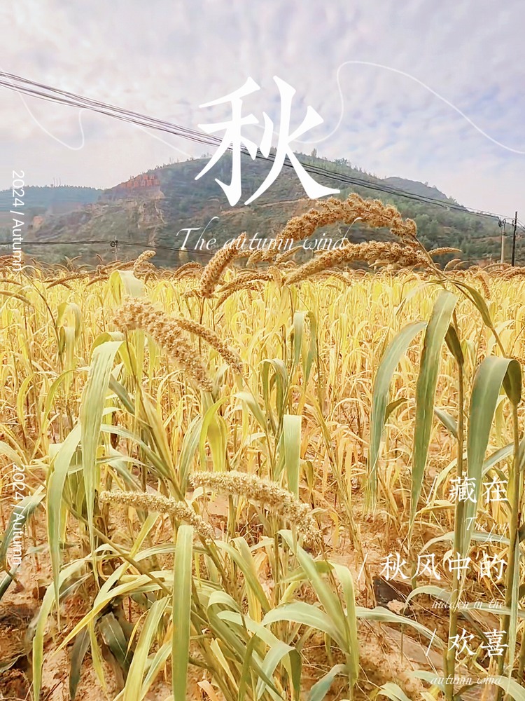我的陕北生活