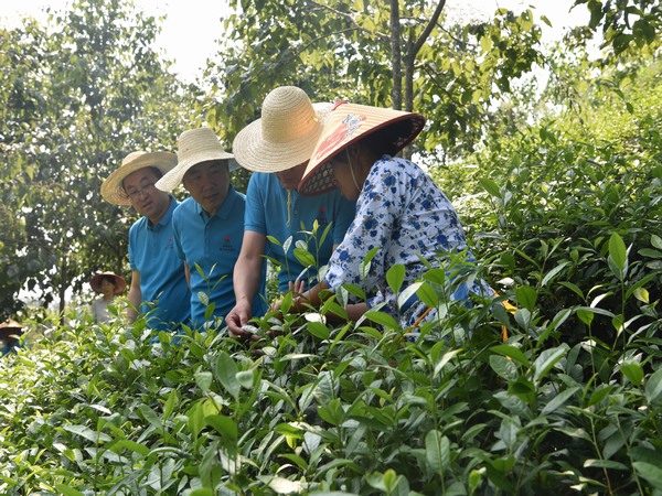 emc网页版登录建设煤矿运营服务分公司：全方位提升职工幸福指数