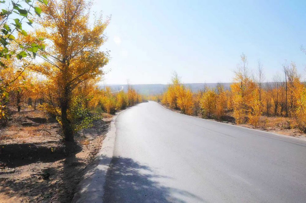 黄土铸风骨 秋风唱大歌