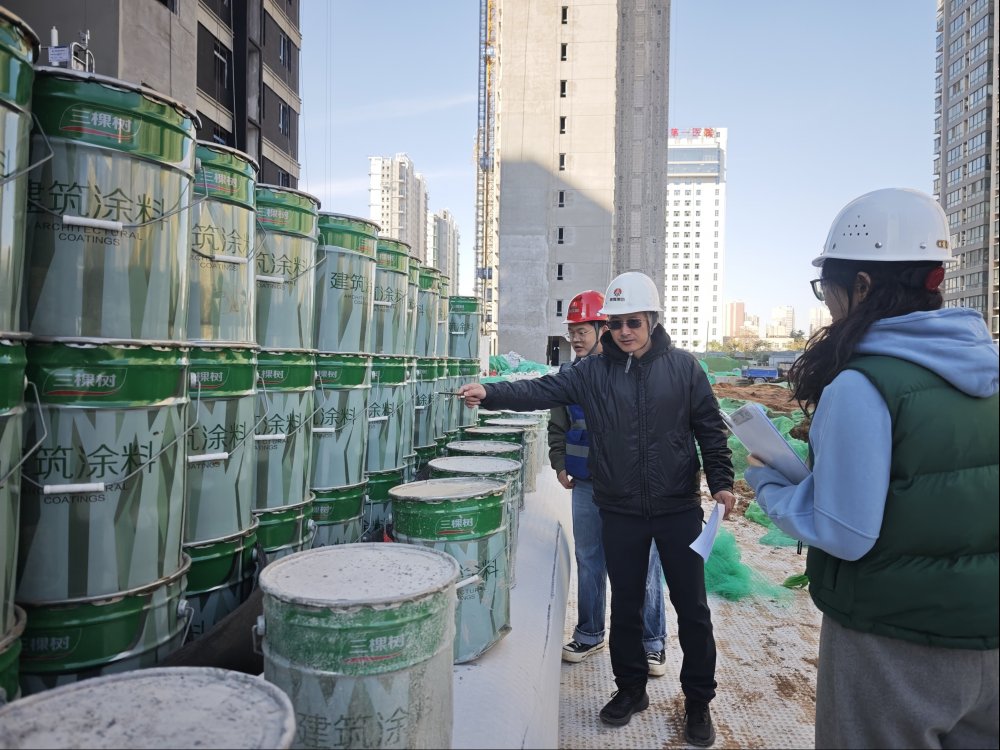 emc网页版登录建设新城公司扎实开展年度盘点 助力精细化管理提升