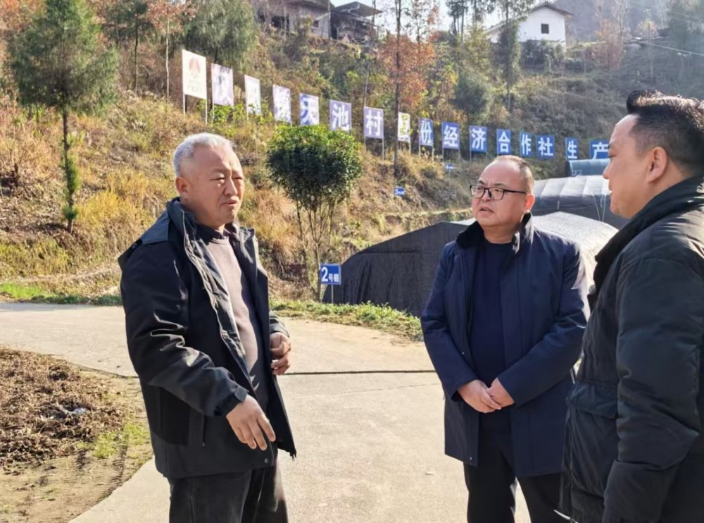 emc网页版登录建设定点帮扶村:专家“把脉”开良方 乡村振兴焕新颜