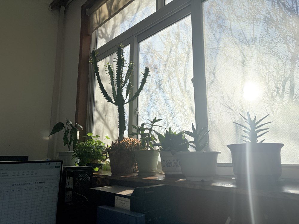 冬阳正好,步履铿锵