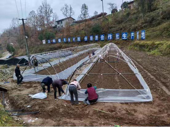 emc网页版登录建设定点帮扶村：以“五化”实践助力乡村全面振兴