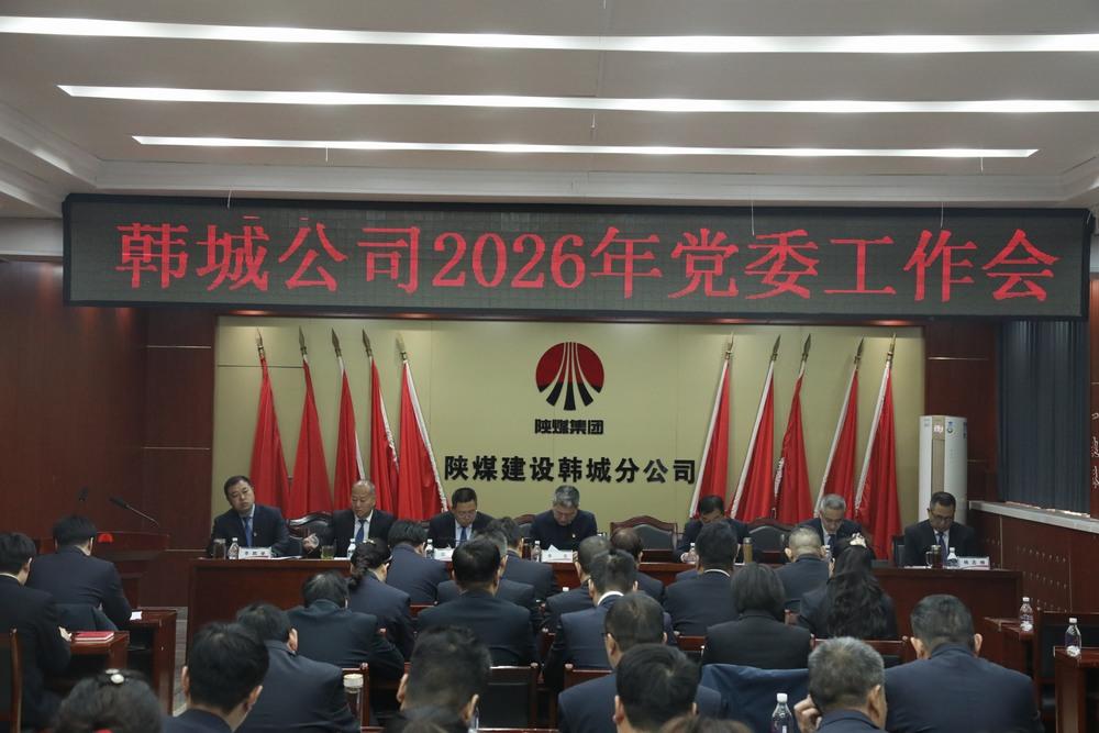 党建领航聚伟力 实干笃行启新程