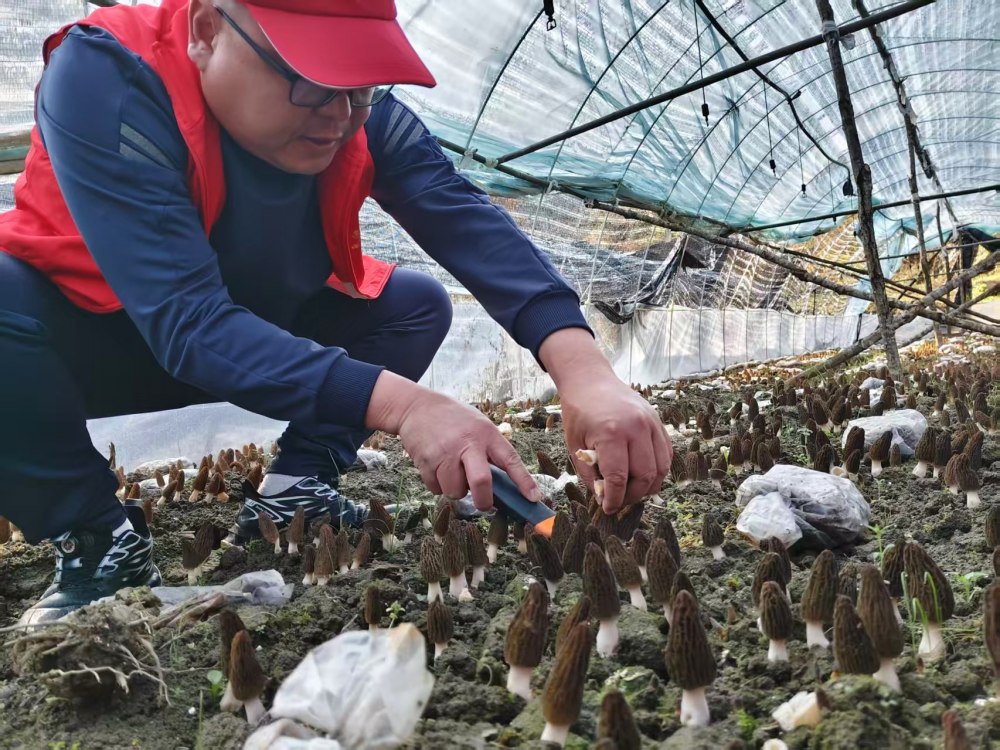 emc网页版登录建设煤矿运营服务分公司：驻村干部显担当 宣传赋能促振兴