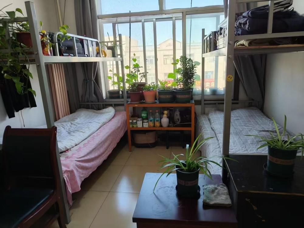 emc网页版登录建设洗选煤运营公司柠条塔运营项目部：暖心筑港湾  聚力兴征程